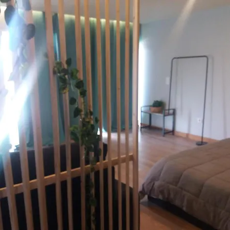 公寓 Douro Apartments Valbom (Gondomar)